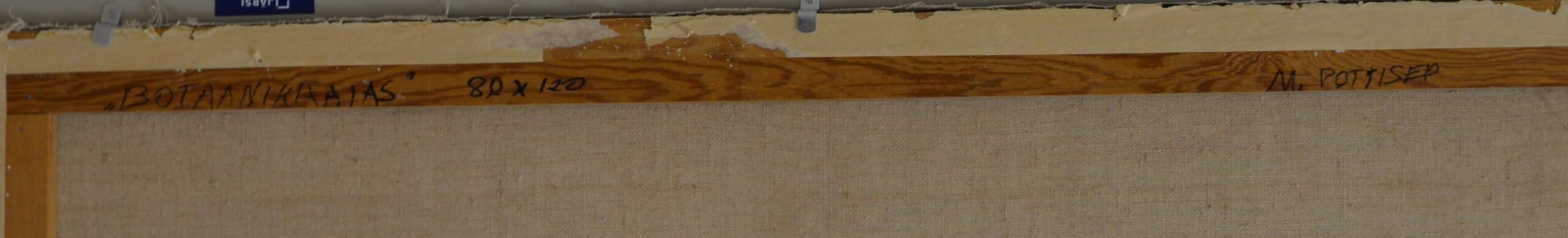 Back of a stretched canvas on a wooden frame with handwritten notes: title 'BOTANIKAITAS', size '80 x 120', artist signature.